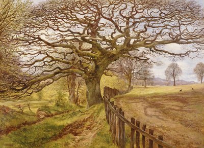 The Tree, 1861 by John Milne Donald